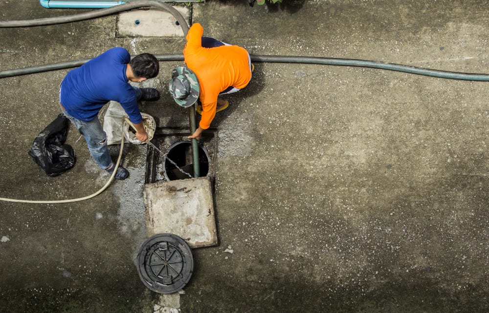 sewer backup cleanup Bothell WA sewer backup cleanup Bothell WA