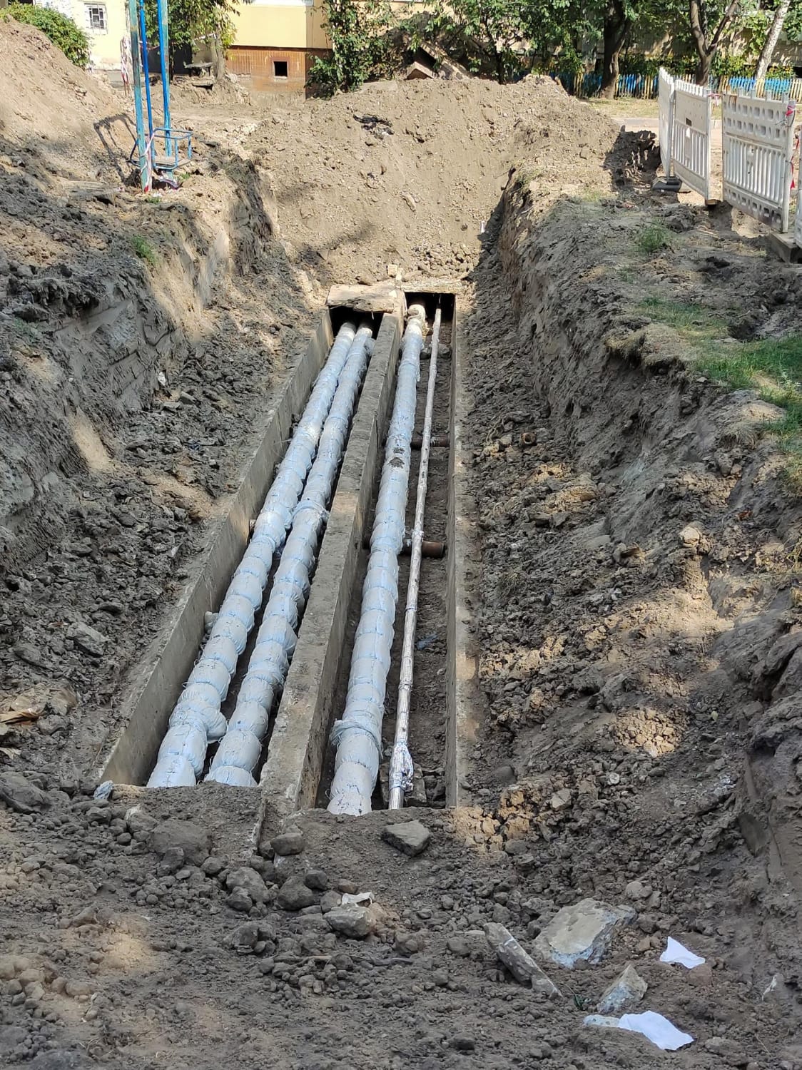 root-intrusion-sewer root-intrusion-sewer