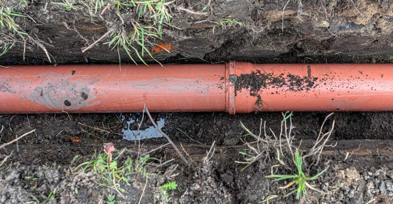 slow-draining-sink-caused-by-sewer-root-damage slow-draining-sink-caused-by-sewer-root-damage